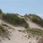 Vt Wonen Stijl Vakantiebungalow Nabij Zee, Strand, Bos En Duinen Voor 6 Personen *