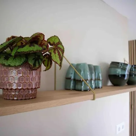 Vt Wonen Stijl Vakantiebungalow Nabij Zee, Strand, Bos En Duinen Voor 6 Personen Nyaraló *