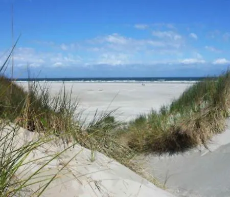 Ferienhaus Vt Wonen Stijl Vakantiebungalow Nabij Zee, Strand, Bos En Duinen Voor 6 Personen *