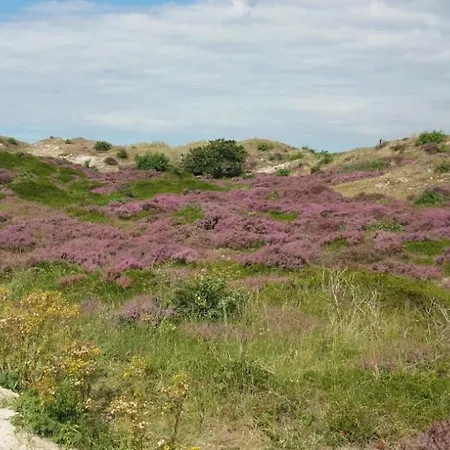 Vt Wonen Stijl Vakantiebungalow Nabij Zee, Strand, Bos En Duinen Voor 6 Personen Semesterbostad Warmenhuizen