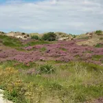 Vt Wonen Stijl Vakantiebungalow Nabij Zee, Strand, Bos En Duinen Voor 6 Personen Holiday home Warmenhuizen