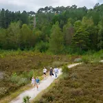 Vt Wonen Stijl Vakantiebungalow Nabij Zee, Strand, Bos En Duinen Voor 6 Personen Holiday home *