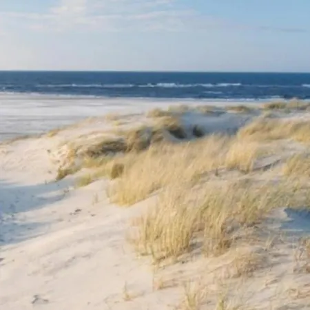 Feriehus Vt Wonen Stijl Vakantiebungalow Nabij Zee, Strand, Bos En Duinen Voor 6 Personen *
