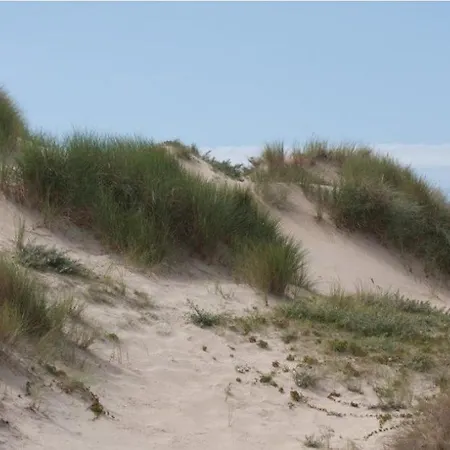 Vt Wonen Stijl Vakantiebungalow Nabij Zee, Strand, Bos En Duinen Voor 6 Personen *