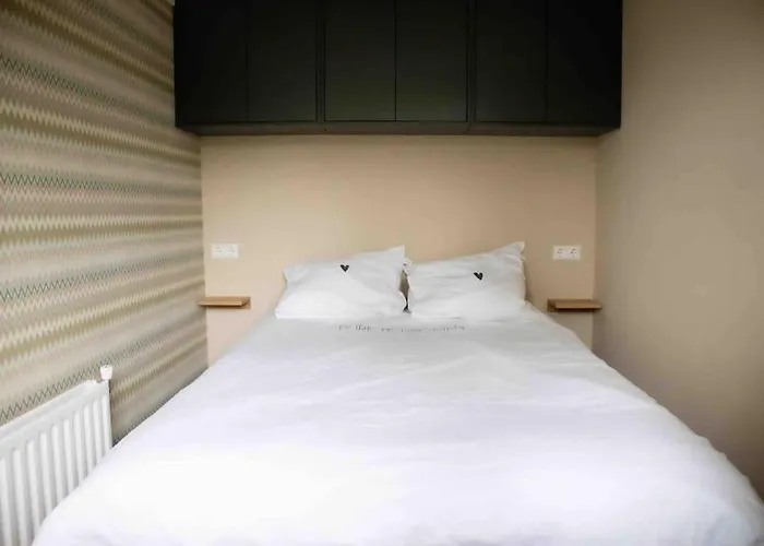 Vt Wonen Stijl Vakantiebungalow Nabij Zee, Strand, Bos En Duinen Voor 6 Personen *