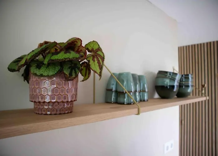 Vt Wonen Stijl Vakantiebungalow Nabij Zee, Strand, Bos En Duinen Voor 6 Personen 度假居 *